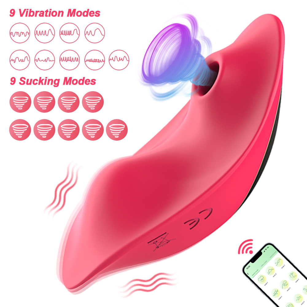Vibrateur à succion avec téléc - Power Tools App avis et prix